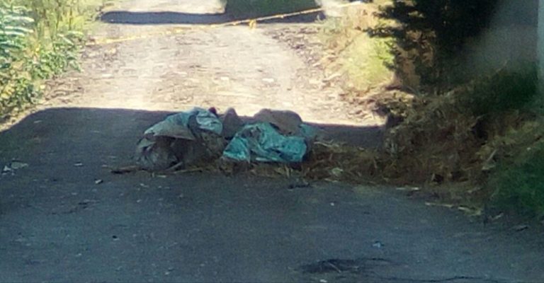 Comparecen hoy Ismujeres y fiscal por ola de muertes en Sinaloa