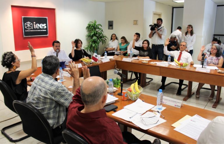 Aprueban lineamientos para candidatos independientes