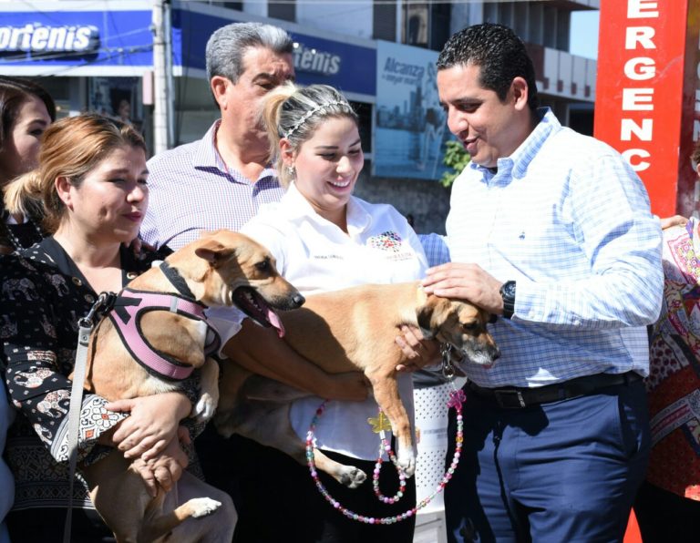 Inicia gira en Culiacán para esterilizar perros y gatos