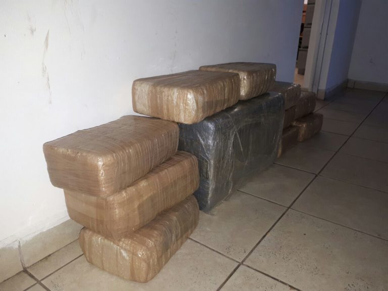 Aseguran 20 kilos de droga en La Presita de Mojolo