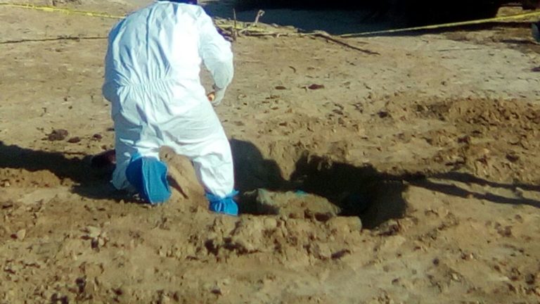 Descubren restos humanos en fosas clandestinas en Baila, al sur de Culiacán