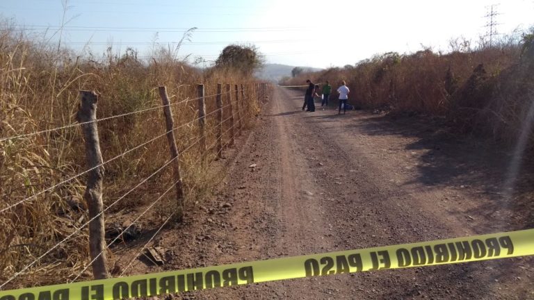 Localizan un muerto al sur de Culiacán