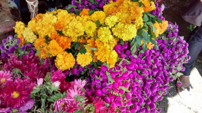 Precios de flores ‘dejan muertos’ a consumidores; hasta 100% más cara que en 2016