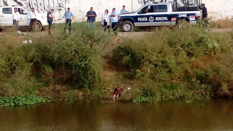 Localizan un muerto a machetazos en el canal de Recursos