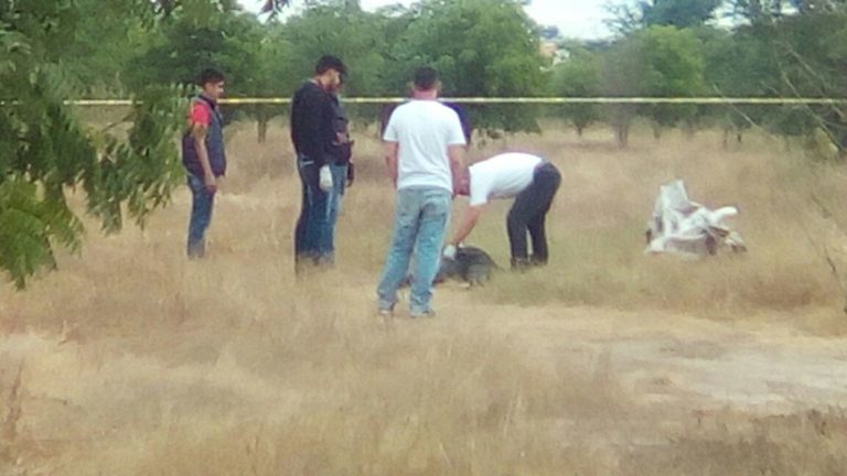 Hallan dos cadáveres en Culiacán