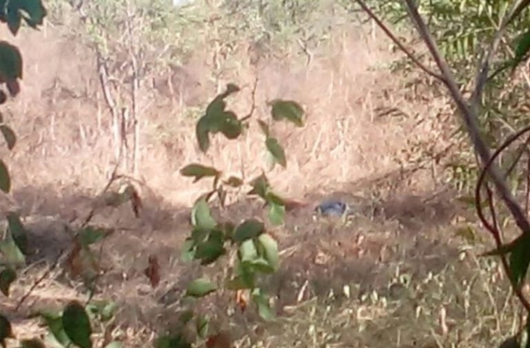 Hallan entre maleza cadáver de joven en Villas del Río