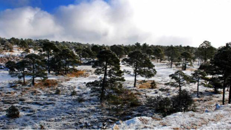 Advierten heladas para hoy; Sinaloa a cero grados