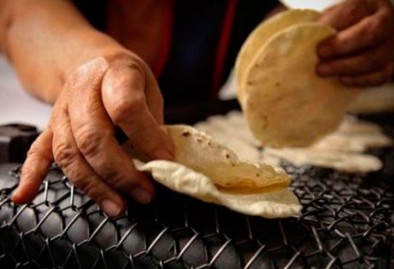 Tortillas aumentarán entre 1.50 y 3 pesos el kilo