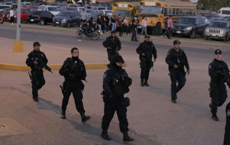 Usan perros policía para detectar droga en Carnaval Mazatlán