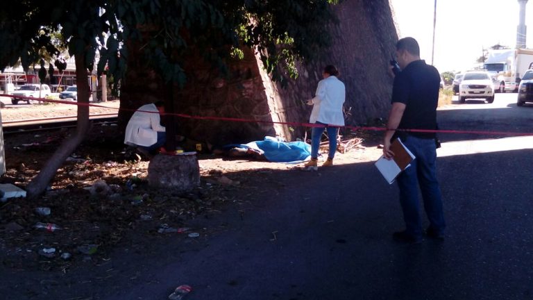 Asesinan a indigente debajo del puente de El Palmito
