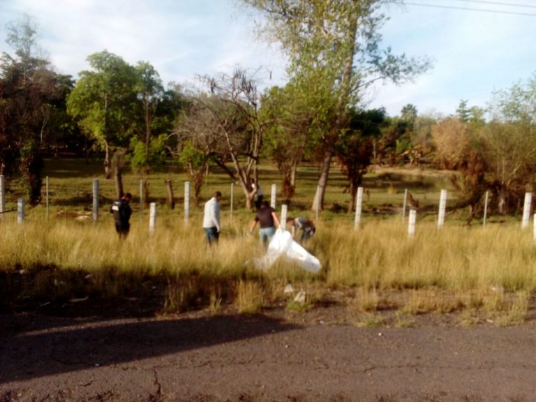 Mueren atropellados dos jóvenes sobre la Maxipista