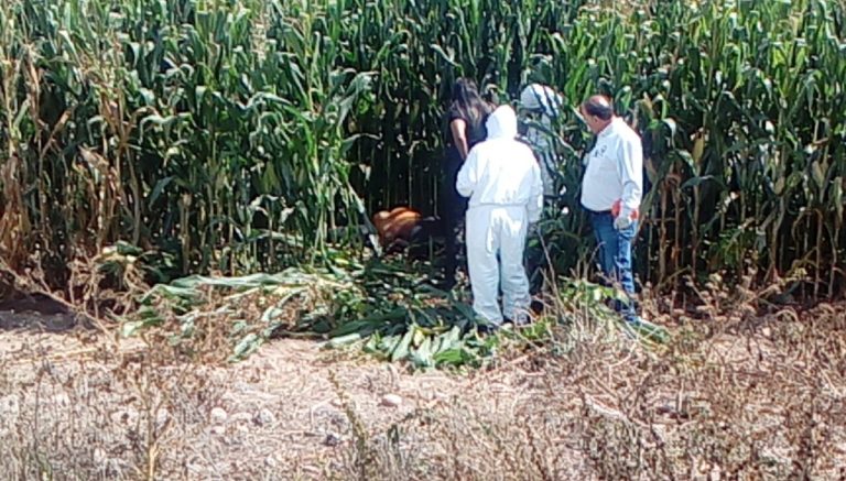 Hallan muerta a mujer en Quilá