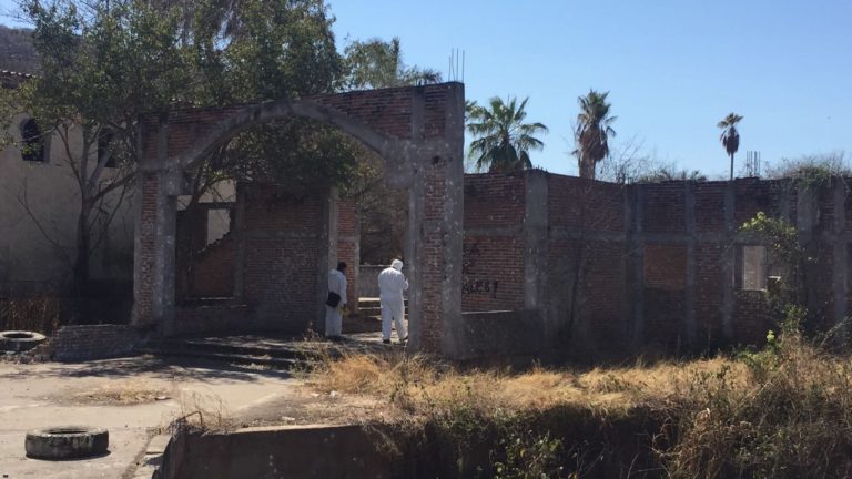 Hallan 3 muertos al sur de Culiacán, entre ellos un menor