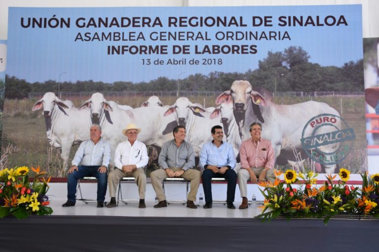 En proceso pago de $50 millones a jubilados del Ayuntamiento