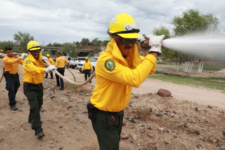 Dañan 15 incendios forestales 835 hectáreas en Sinaloa