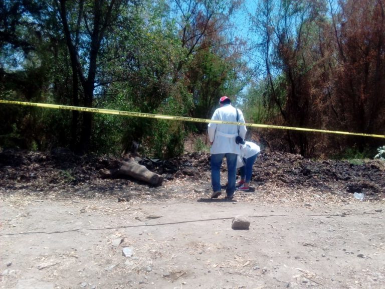 Hallan restos humanos carbonizados detrás del Congreso del estado