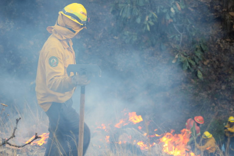 Urgen activar brigadas; Sinaloa y San Ignacio con incendios forestales