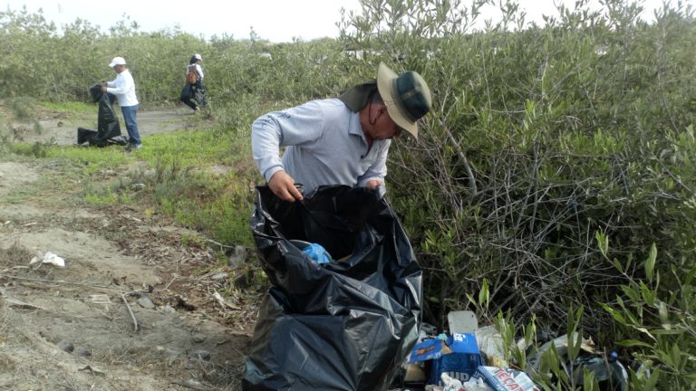 En 30 años habrá más plástico que peces en el mar