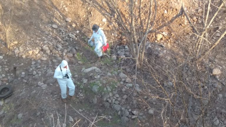 Suman 10 ejecutados en 3 municipios; 7 registra Culiacán