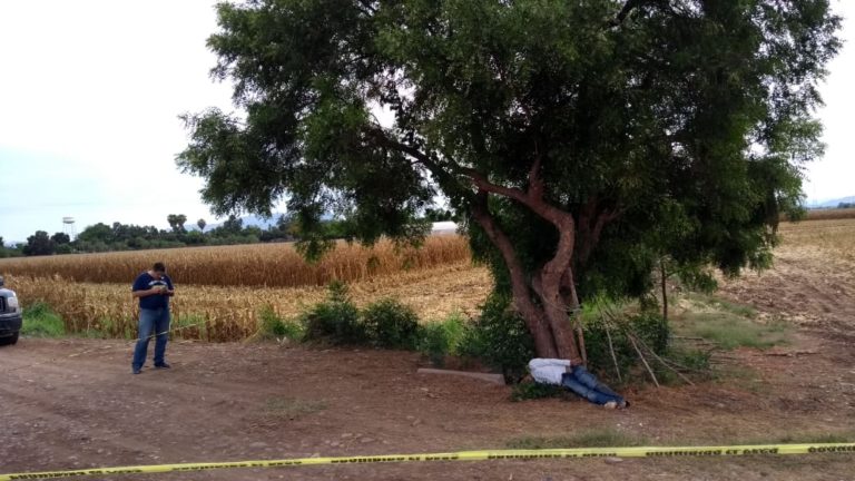 Lo matan a golpes; es hallado entre Culiacancito y San Pedro