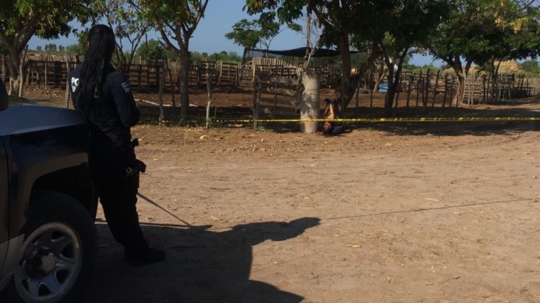 Hallan un muerto en El Chamizal, Navolato