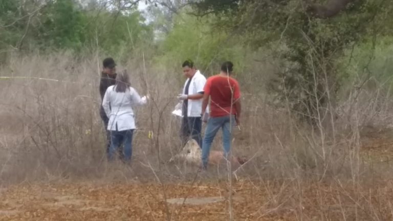 Hallan a hombre muerto a golpes en Culiacán