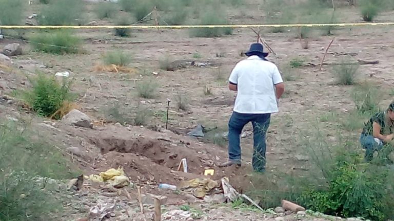 Hallan 15 restos óseos en Bachigualato