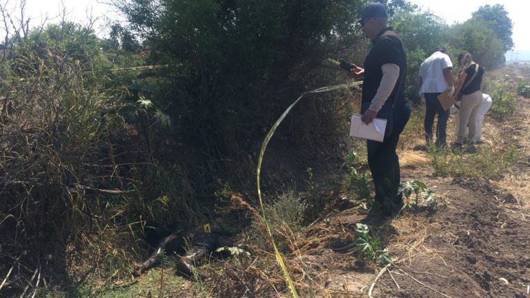 Encuentran cadáver putrefacto a metros de ‘La Costera’
