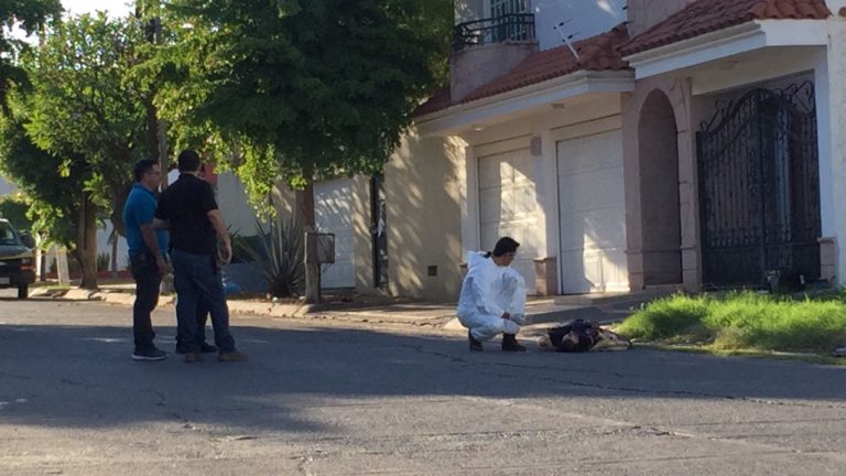 Era de Jalisco; lo hallan muerto envuelto en una sábana en Villa Universidad