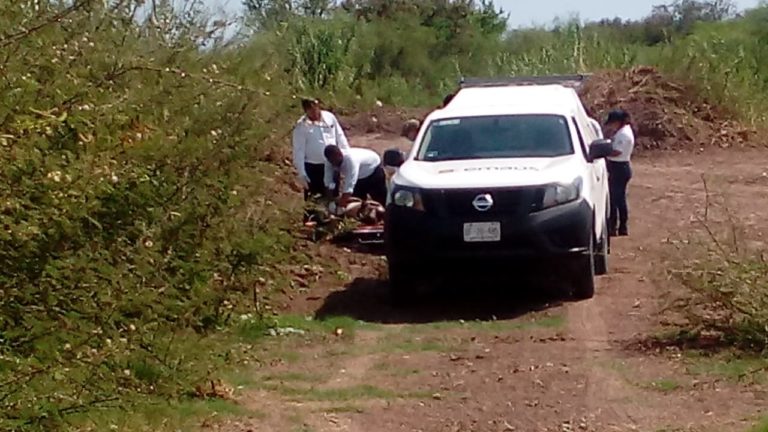 Encuentran un ‘encobijado’ putrefacto en ‘El Tigre’, Navolato