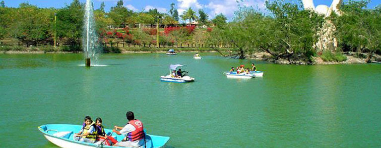 Abre Culiacán cursos de verano en parques, bibliotecas y zoológico