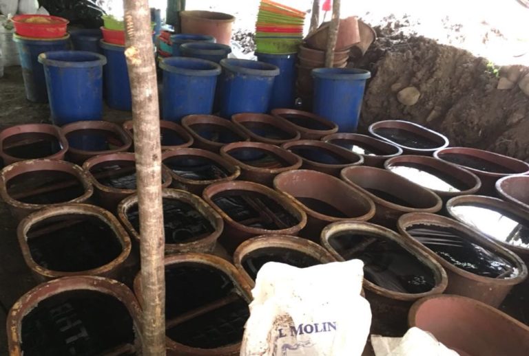 Dan ‘golpe’ millonario en Culiacán; decomisan cuatro narcolaboratorios