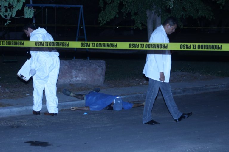 Paseaba a su mascota en un parque y lo ejecutan