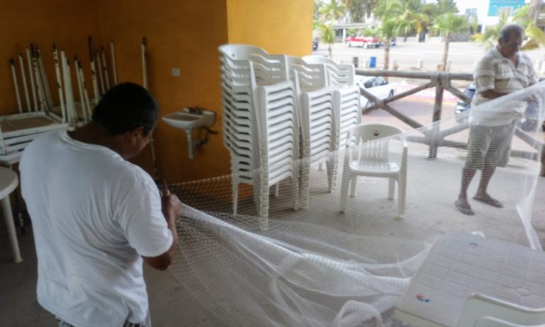 Van por camarón, pero temen golpe por la vaquita de mar