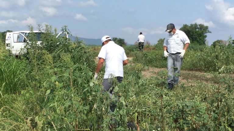 Tenía 20 días de haber sido asesinado; lo hallaron hoy en Mocorito