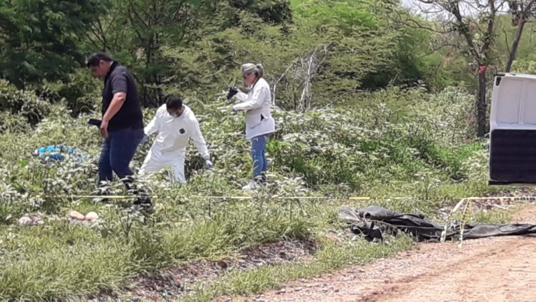 Una llamada a la familia de un asesinado alerta su ubicación en Culiacán