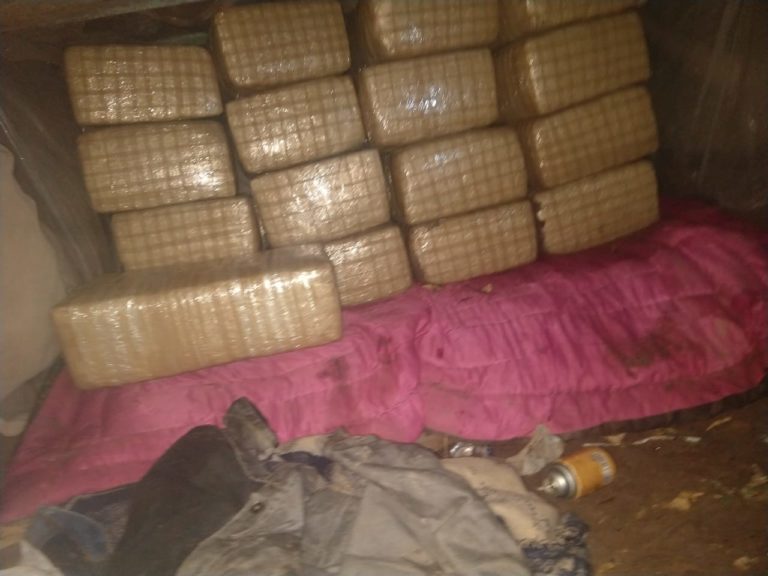 Decomisan policías y militares 170 kilos de mariguana en Villa Juárez