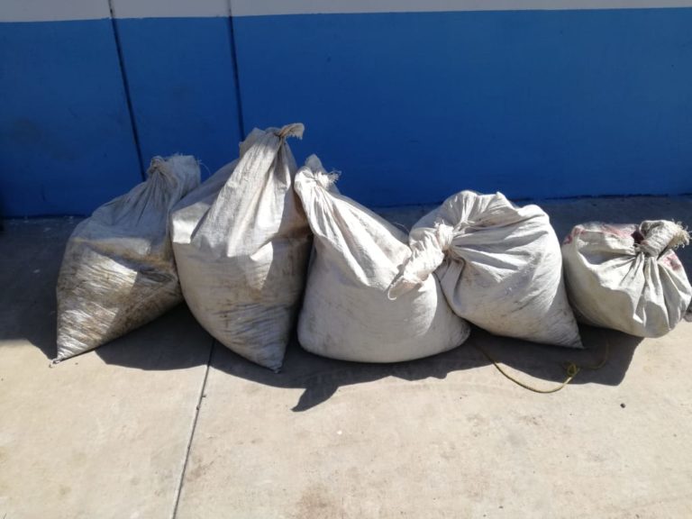 Aseguran 80 kilos de mariguana y cristal en ‘El Tigre’, Navolato