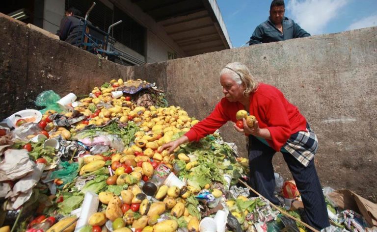 Desperdicia México 20 millones de toneladas de comida al año