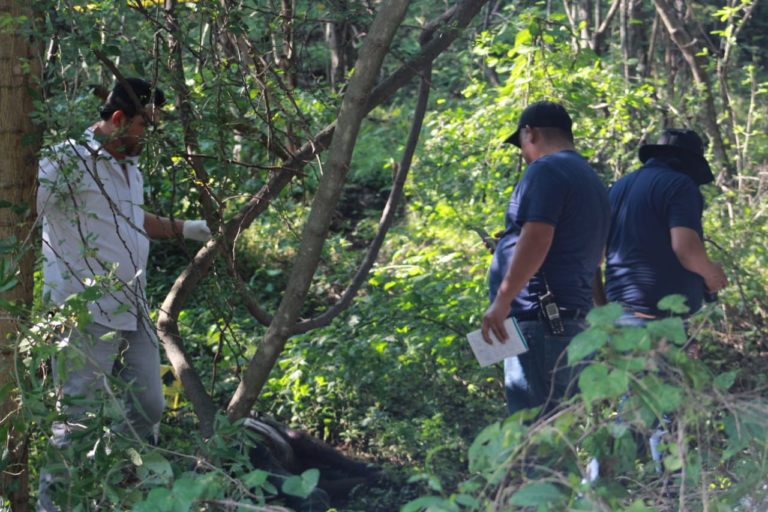 Matan a 80 en Sinaloa durante septiembre; 45 son de Culiacán