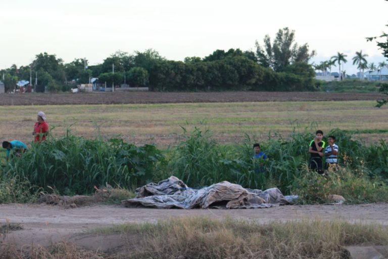 Hallan muerta a mujer en canal de Navolato
