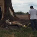 MUERTO_VILLA_JUAREZ (4)