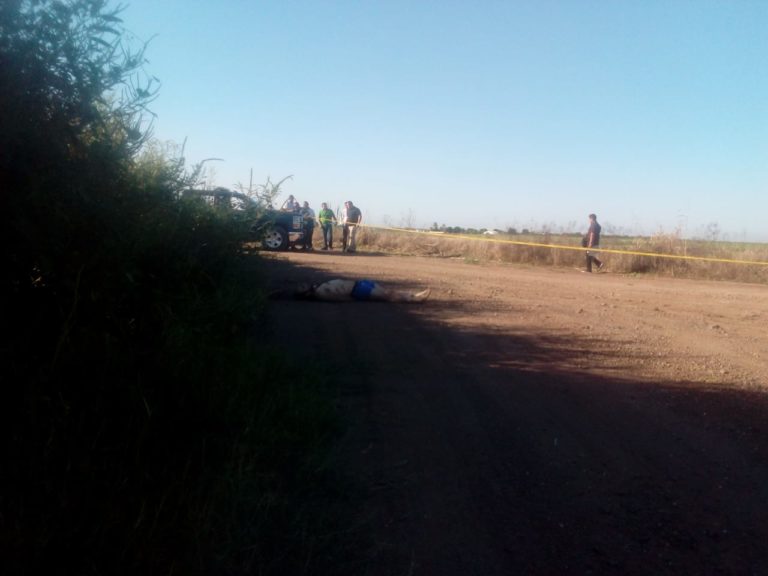 Lo encuentran ejecutado a balazos al norte de Culiacán