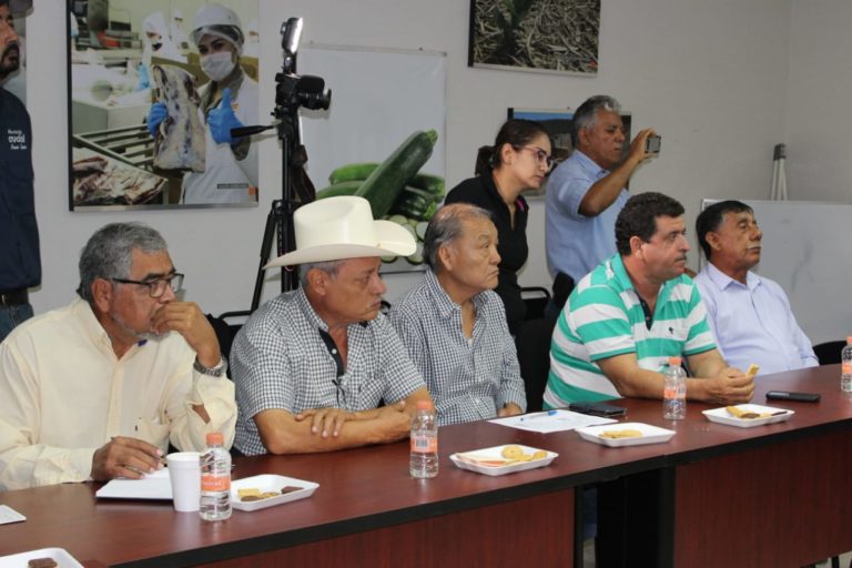 Exigirá la Conapesca 70 millones para la compra de motores marinos