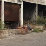 WhatsApp Image 2018-10-24 at 7.31.12 AM