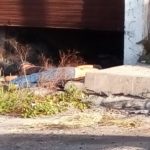 WhatsApp Image 2018-10-24 at 9.04.44 AM (1)