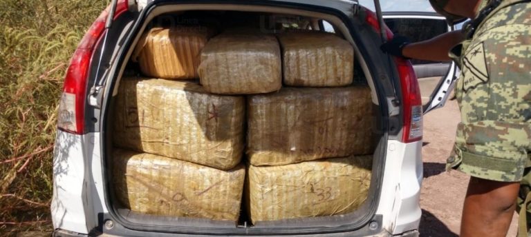 Aseguran en Ahome 400 kilos de mariguana