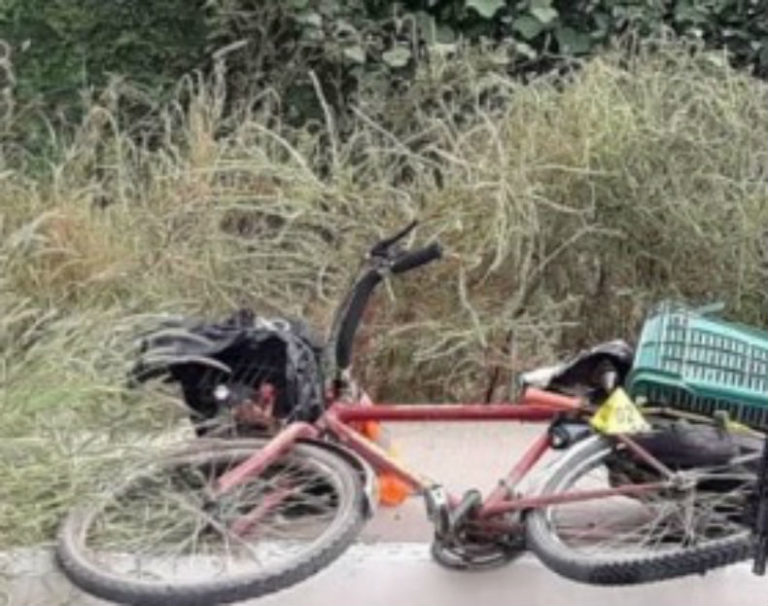 Muere atropellado adulto mayor en Navolato