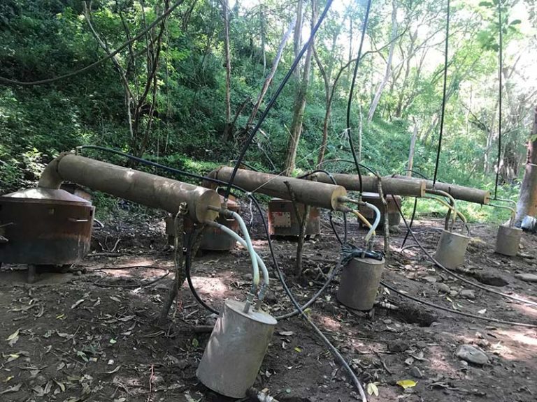 Esto es lo que halló la Marina en narcolaboratorios asegurados en Culiacán