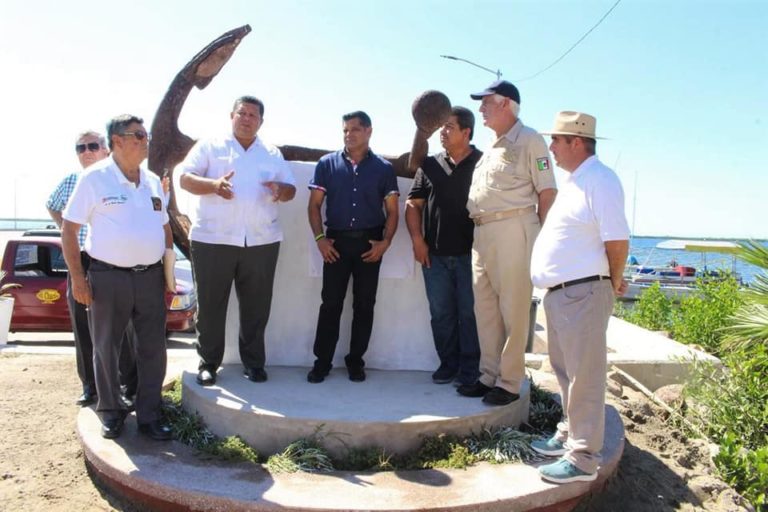 Muestra Altata su ancla con 500 años de historia